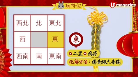 文昌位富貴竹|2023兔年文昌位 │ 一文看清6大文昌擺設、禁忌，包你。